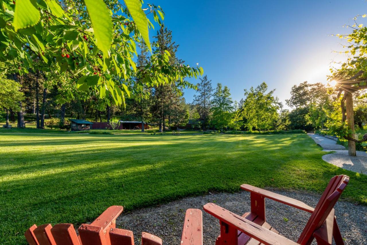 The Davies Family Inn - Adults Only Placerville Εξωτερικό φωτογραφία